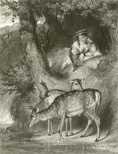 Vuoren yksinäisyys tekijältä John Corbould
