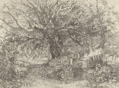 Road Scene, Trowse Hall, 1813 tekijältä John Crome
