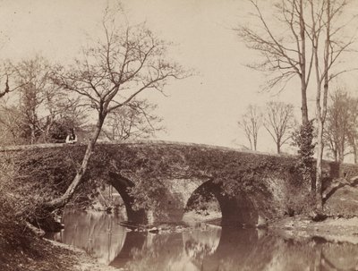 Country Bridge Staplylton Bridge, Bristol, n. 1854-1857. tekijältä John Dillwyn Llewelyn