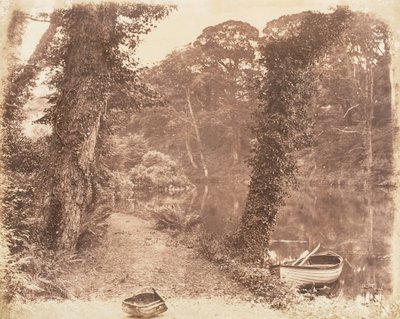 Upper Lake, 1853-56. tekijältä John Dillwyn Llewelyn