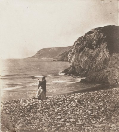 Tuulet ja aallot, 1853-56. tekijältä John Dillwyn Llewelyn