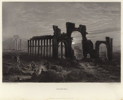 Palmyra tekijältä John Douglas Woodward