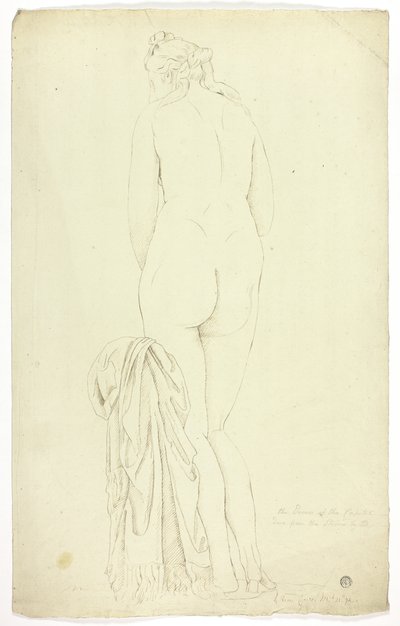Kapitoliini Venus tekijältä John Downman