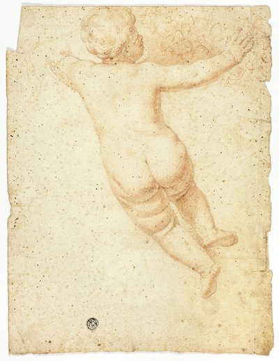 Putto takaa tekijältä John Downman