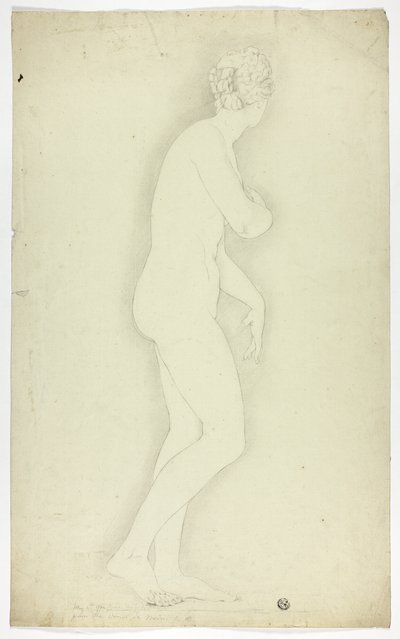Venus de