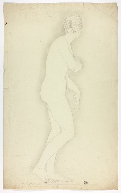 Venus de