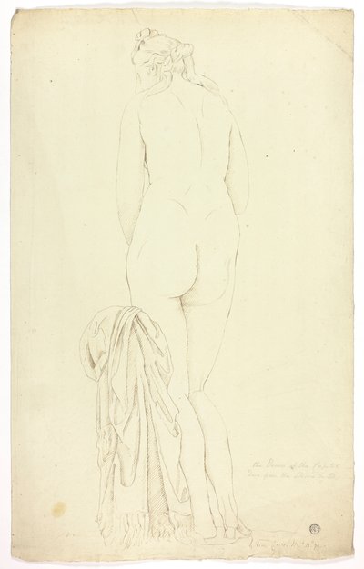 Kapitoliini Venus tekijältä John Downman