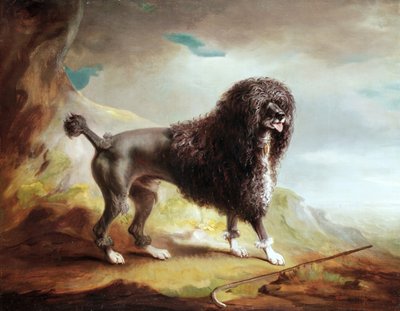 Leikattu vesispanieli (öljy kankaalle) tekijältä John E. Ferneley