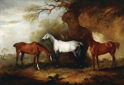 Kolme metsästäjää, jotka kuuluvat Robert Myddelton-Biddulphille, tekijältä John E. Ferneley