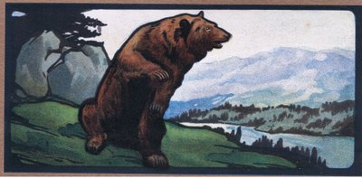 Ruskea karhu tekijältä John Edwin Noble