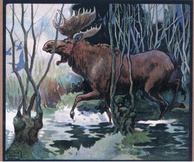Hirvi tekijältä John Edwin Noble