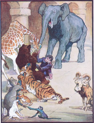 "Ei koskaan ennen tai sen jälkeen ole ollut tällaista köydenvetoa", kuvitus kappaleelle "Zum, Zum, Ziss", "Animal Legends from Many Lands" -julkaisusta, julkaisija Raphael Tuck & Sons Ltd. (värilitho) tekijältä John Edwin Noble