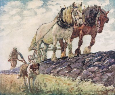 Plowing the field, kuvitus Gladys Davidsonin 