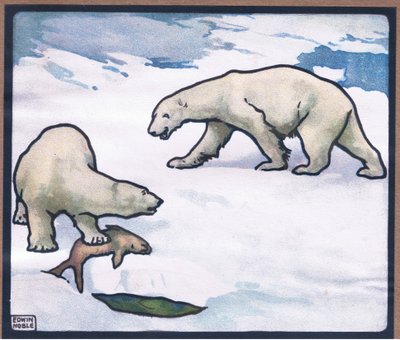 Jääkarhu tekijältä John Edwin Noble