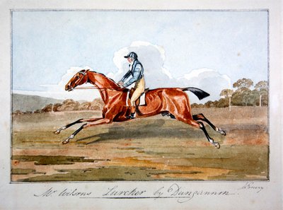 Mr Wilsonin "Lurcher", Dungannon tekijältä John Emery
