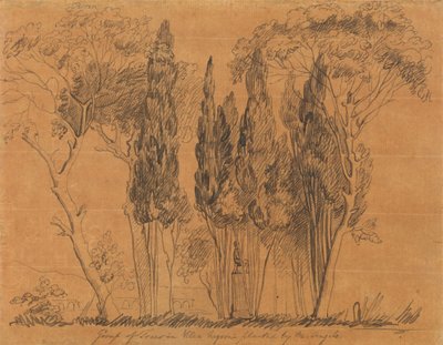 Puut Villa Negronissa M. Angelon istuttama tekijältä John Flaxman