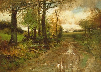 Tie metsän läpi tekijältä John Francis Murphy