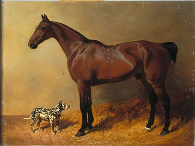 Bay Hunter ja täplikäs koira vakaassa sisätilassa, 1846 tekijältä John Frederick Herring Senior
