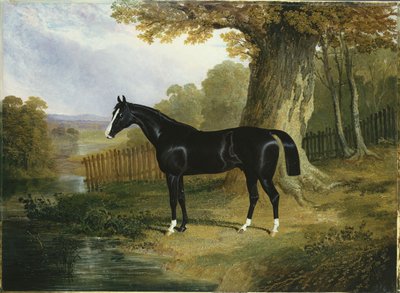 Pimeä metsästäjä jokimaisemassa, 1832 tekijältä John Frederick Herring Senior