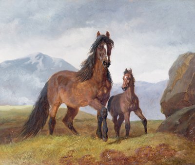 Walesin vuoristotamma ja varsa, 1854 (paneeli) tekijältä John Frederick Herring Senior