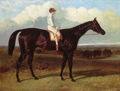 Jonathan Wild, Dark Bayn kilpahevonen, Goodwoodissa, T.Ryder up, 1846 tekijältä John Frederick Herring Senior
