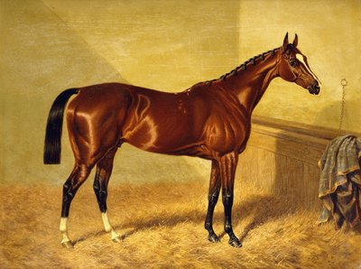 Orlando, Bay Racehorse irtolaatikossa, 1845 tekijältä John Frederick Herring Senior