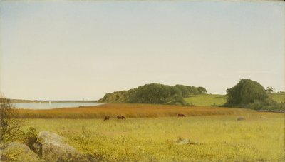 Almyn lampi, Newport tekijältä John Frederick Kensett