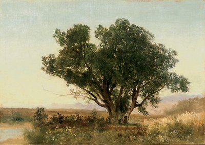 The Front Range, Colorado tekijältä John Frederick Kensett