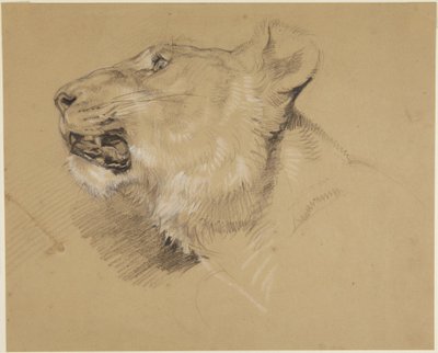 Naarasleijonan pää tekijältä John Frederick Lewis