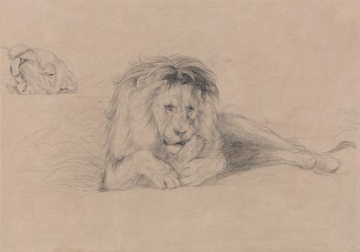 Tutkimus leijonasta ja lionessin pää tekijältä John Frederick Lewis