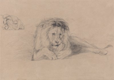 Leijonan tutkimus ja leijonattaren pään tutkimus tekijältä John Frederick Lewis