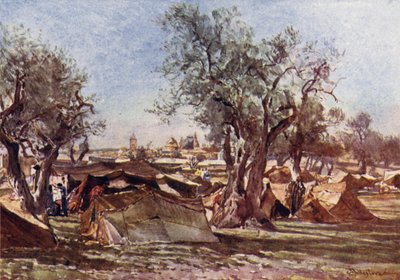 Beduiinileiri Jerusalemin pohjoismuurin ulkopuolella tekijältä John Fulleylove