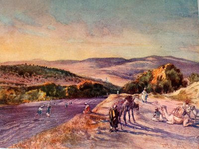 Samarian muinaisen kaupungin paikka, 1902. tekijältä John Fulleylove