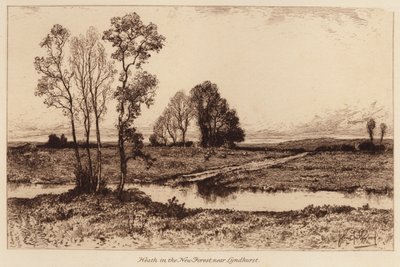 Heath New Forestissa, lähellä Lyndhurstia (kaiverrus) (kaiverrus) tekijältä John Fullwood