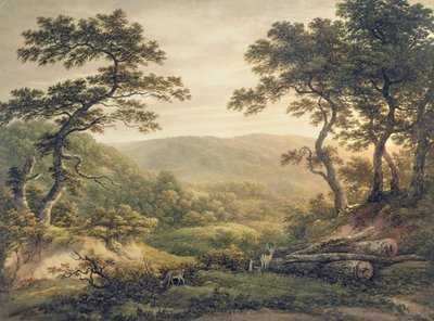 Needlewood Forest, Hampshire (akvarelli paperille) tekijältä John Glover