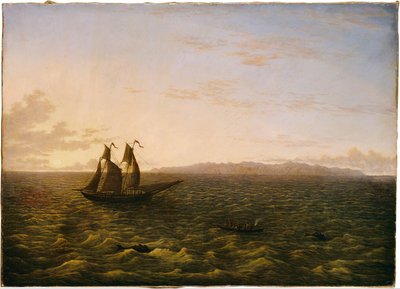 Madeiran saari tekijältä John Glover