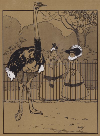 Strutsin höyhenet (väri litho) tekijältä John Hassall