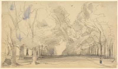 Avenue of Trees (grafiittia, sinistä ja harmaata sävyjä, vohvelipaperille). tekijältä John Hayter