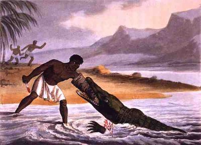 The African Crocodile Hunters, kaiverrus Matthew Dubourg (fl.1785-1820), julkaisija Edward Orme tekijältä John Heaviside (after) Clark