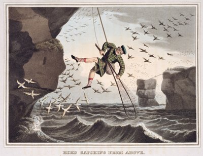 Lintujen pyydystäminen ylhäältä, kaiverrus Matthew Dubourg (fl.1785-1820), julkaisija Edward Orme, 1813 tekijältä John Heaviside Clark