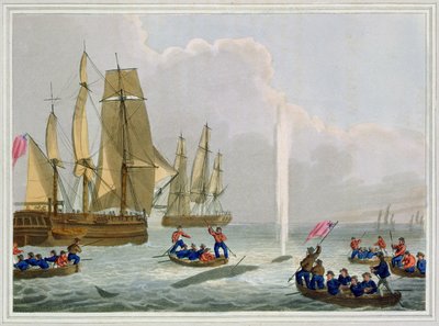 Boats Approaching a Whale, kaiverrus Matthew Dubourg (fl.1785-1820), julkaisija Edward Orme, 1813 tekijältä John Heaviside Clark