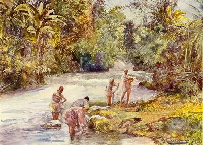 White River, Jamaika (väri litho) tekijältä John Henry Frederick (after) Bacon