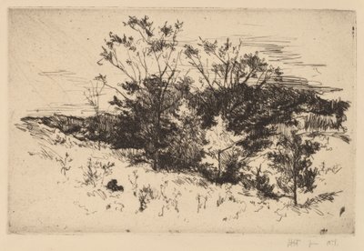Syksyinen Avondale tekijältä John Henry Twachtman