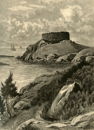 "Old Fort Dumpling", 1872. tekijältä John J. Harley