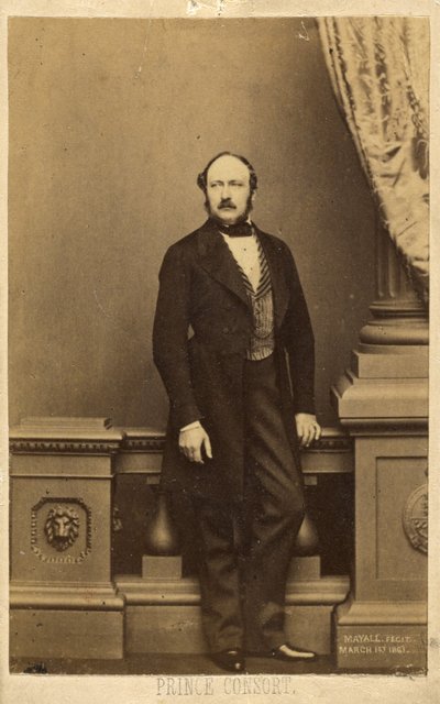 Prinssi Consort. [Frans Kaarle Kaarle Augustus Emmanuel Albert, Saksi-Coburg-Gothan prinssi] tekijältä John Jabez Edwin Mayall