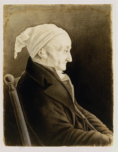 Henri De Gallon, 1819 (liitu ja pastelli paperille) tekijältä John James Audubon
