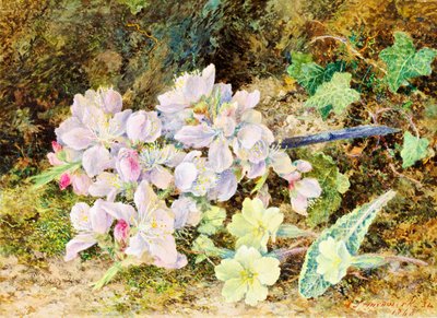 Mantelinkukat ja esikoot, 1868 (wc kortilla) tekijältä John Jesson Hardwick