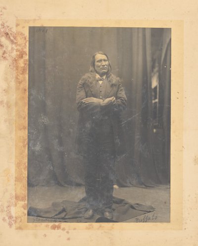 Stehender Büffel tekijältä John K. Hillers