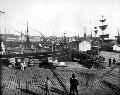 Aucklandin satama, Uusi-Seelanti, 1893. tekijältä John L. Stoddard