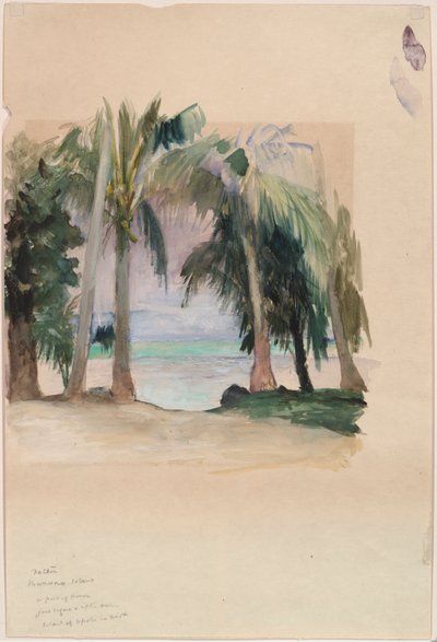 Palmut meren rannalla tekijältä John La Farge